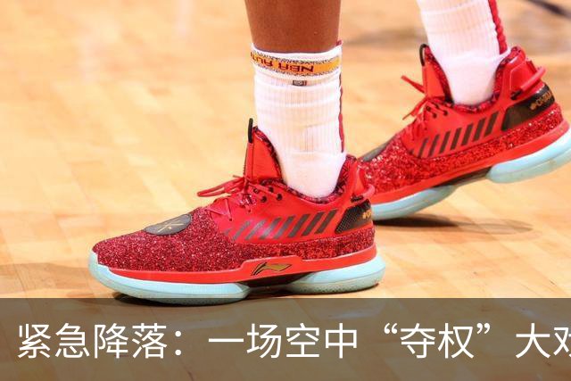 紧急降落：一场空中“夺权”大戏与不速之客的决斗